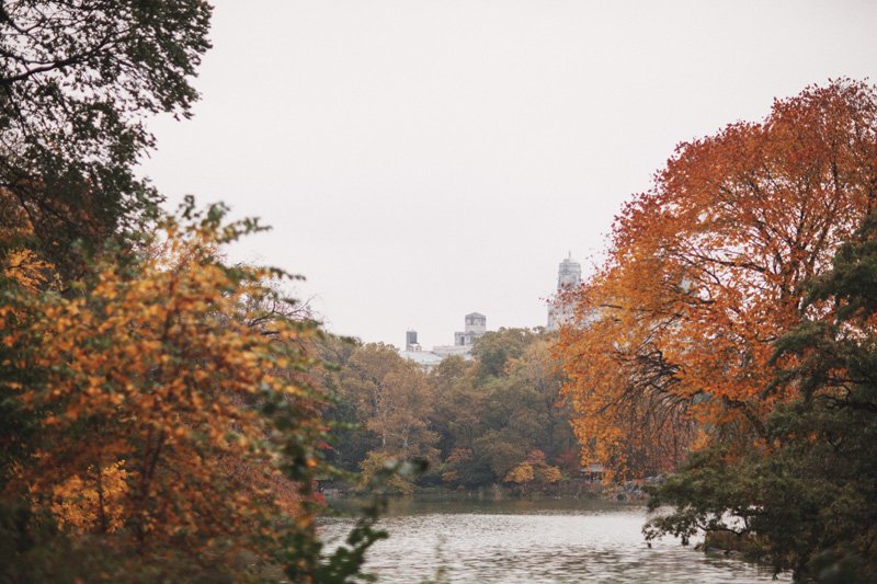 Anya and Srijan's Wedding, Central Park, NYC, USA (22)