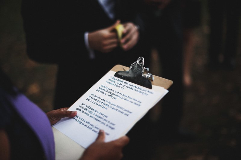 Anya and Srijan's Wedding, Central Park, NYC, USA (29)