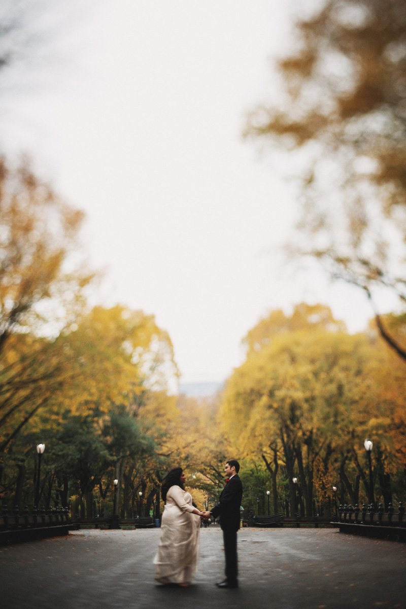 Anya and Srijan's Wedding, Central Park, NYC, USA (46)