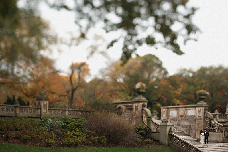 Anya and Srijan's Wedding, Central Park, NYC, USA (45)