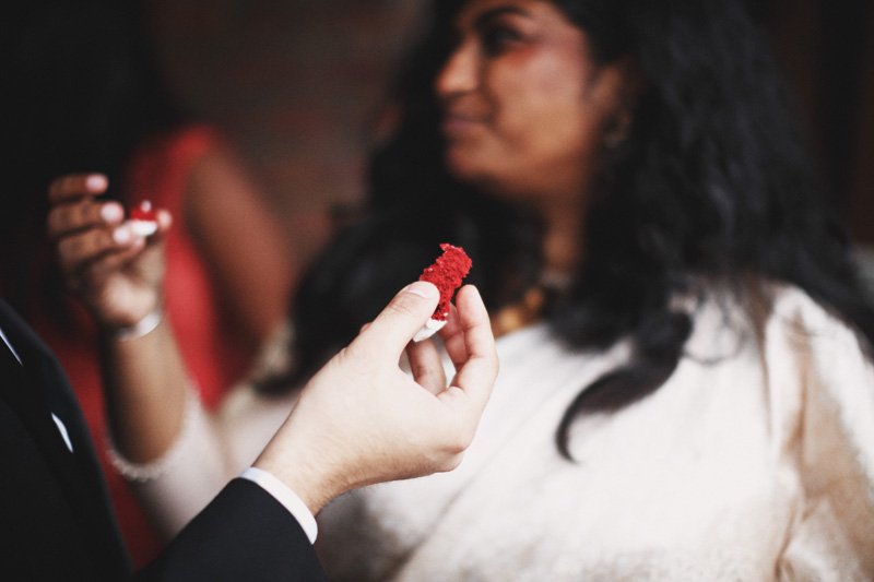 Anya and Srijan's Wedding, Central Park, NYC, USA (60)