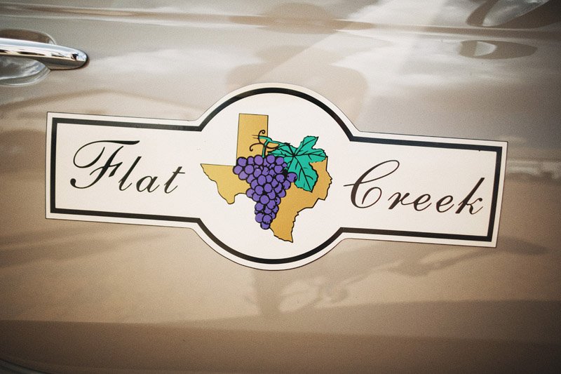 Nico & Steph's Texas Weddng (21)