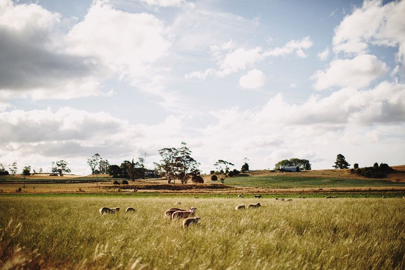 Jules and Tash's Alternative and Offbeat Wedding in Deloraine near Launceston, Tasmania (88)