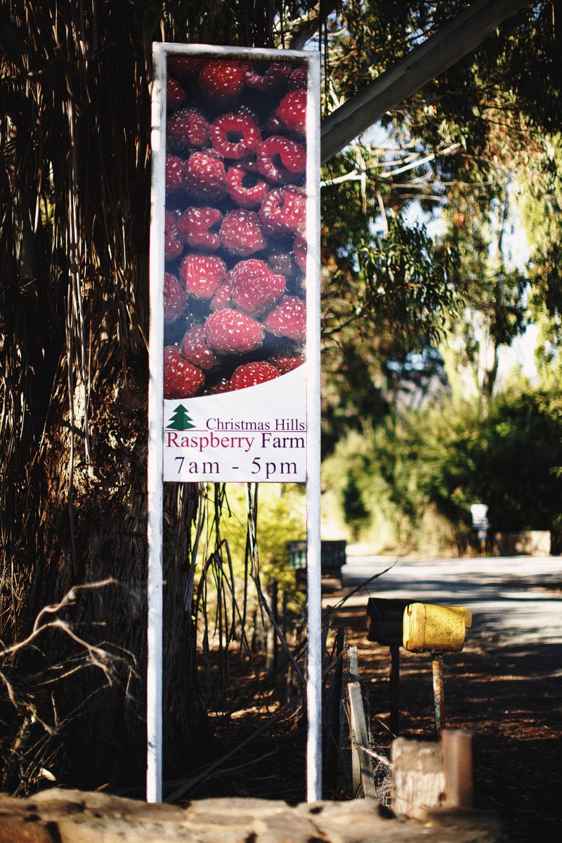 Jules and Tash's Alternative and Offbeat Wedding in Deloraine near Launceston, Tasmania (45)